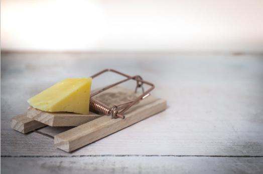 Basic wooden mousetrap with cheese bait set on a table