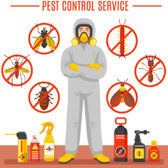 pest control vector illustration